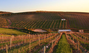 The Hemel-en-Aarde Valley